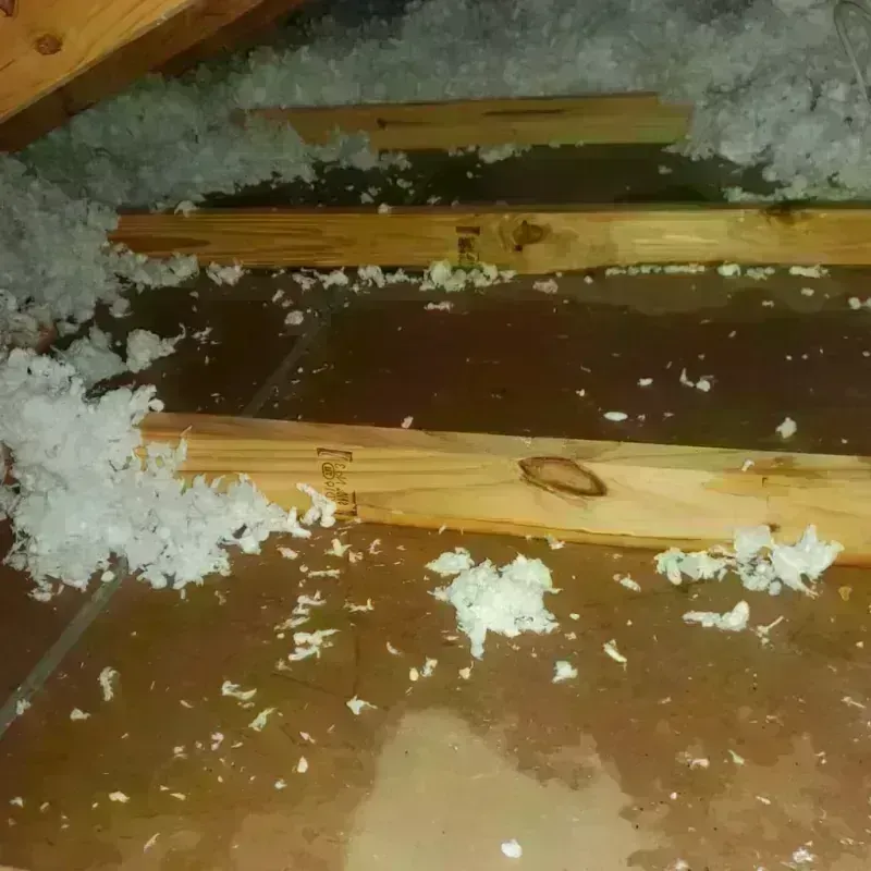 Attic Water Damage in Athens, AL