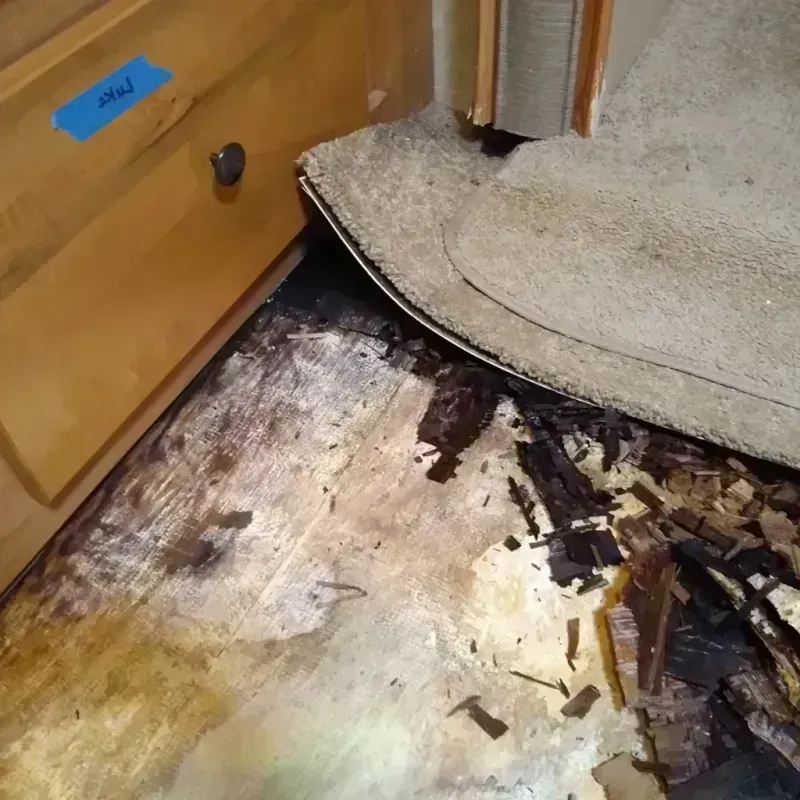 Wood Floor Water Damage in Athens, AL